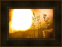 Load image into Gallery viewer, Plate 3 - Spring Brook Grasses
