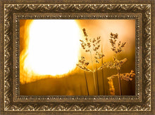 Load image into Gallery viewer, Plate 3 - Spring Brook Grasses
