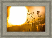 Load image into Gallery viewer, Plate 3 - Spring Brook Grasses
