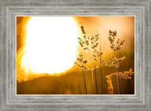Load image into Gallery viewer, Plate 3 - Spring Brook Grasses
