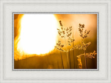 Load image into Gallery viewer, Plate 3 - Spring Brook Grasses
