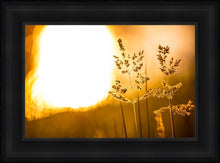 Load image into Gallery viewer, Plate 3 - Spring Brook Grasses
