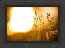 Load image into Gallery viewer, Plate 3 - Spring Brook Grasses
