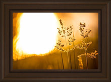 Load image into Gallery viewer, Plate 3 - Spring Brook Grasses
