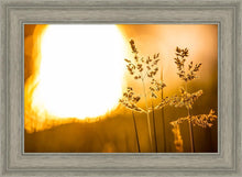 Load image into Gallery viewer, Plate 3 - Spring Brook Grasses
