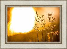 Load image into Gallery viewer, Plate 3 - Spring Brook Grasses
