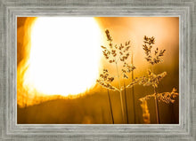 Load image into Gallery viewer, Plate 3 - Spring Brook Grasses
