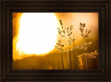 Load image into Gallery viewer, Plate 3 - Spring Brook Grasses
