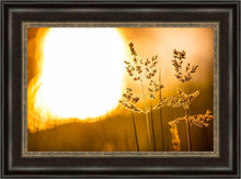 Load image into Gallery viewer, Plate 3 - Spring Brook Grasses
