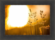 Load image into Gallery viewer, Plate 3 - Spring Brook Grasses

