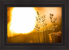 Load image into Gallery viewer, Plate 3 - Spring Brook Grasses
