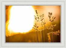 Load image into Gallery viewer, Plate 3 - Spring Brook Grasses
