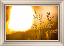 Load image into Gallery viewer, Plate 3 - Spring Brook Grasses
