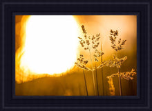 Load image into Gallery viewer, Plate 3 - Spring Brook Grasses
