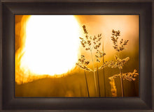 Load image into Gallery viewer, Plate 3 - Spring Brook Grasses
