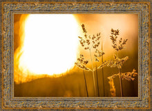 Load image into Gallery viewer, Plate 3 - Spring Brook Grasses
