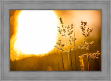 Load image into Gallery viewer, Plate 3 - Spring Brook Grasses
