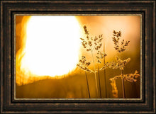 Load image into Gallery viewer, Plate 3 - Spring Brook Grasses

