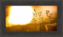 Load image into Gallery viewer, Plate 3 - Spring Brook Grasses
