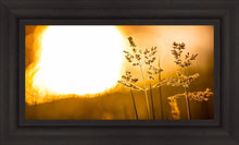 Load image into Gallery viewer, Plate 3 - Spring Brook Grasses

