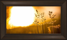 Load image into Gallery viewer, Plate 3 - Spring Brook Grasses
