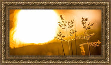 Load image into Gallery viewer, Plate 3 - Spring Brook Grasses

