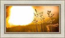 Load image into Gallery viewer, Plate 3 - Spring Brook Grasses
