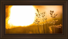 Load image into Gallery viewer, Plate 3 - Spring Brook Grasses
