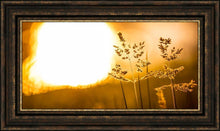 Load image into Gallery viewer, Plate 3 - Spring Brook Grasses
