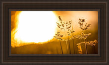 Load image into Gallery viewer, Plate 3 - Spring Brook Grasses
