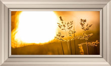 Load image into Gallery viewer, Plate 3 - Spring Brook Grasses
