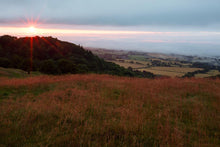 Load image into Gallery viewer, Plate 1 - Malvern Hill of Prayer
