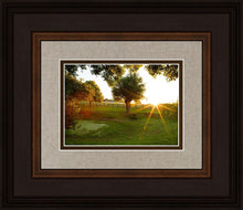 Load image into Gallery viewer, Plate 2 - Preparing a Pond

