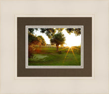 Load image into Gallery viewer, Plate 2 - Preparing a Pond
