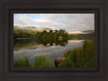 Load image into Gallery viewer, Plate 2 - Intimations of Immortality
