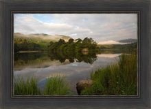 Load image into Gallery viewer, Plate 2 - Intimations of Immortality
