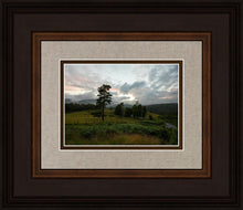 Load image into Gallery viewer, Plate 3 - Tarn Hows Above Ambleside
