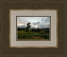 Load image into Gallery viewer, Plate 3 - Tarn Hows Above Ambleside
