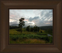 Load image into Gallery viewer, Plate 3 - Tarn Hows Above Ambleside
