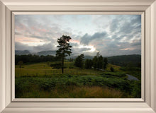 Load image into Gallery viewer, Plate 3 - Tarn Hows Above Ambleside
