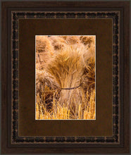 Load image into Gallery viewer, Plate 1 - Guatemala Highlands Shock of Wheat
