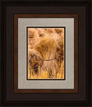 Load image into Gallery viewer, Plate 1 - Guatemala Highlands Shock of Wheat
