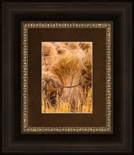 Load image into Gallery viewer, Plate 1 - Guatemala Highlands Shock of Wheat
