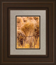 Load image into Gallery viewer, Plate 1 - Guatemala Highlands Shock of Wheat
