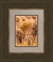 Load image into Gallery viewer, Plate 1 - Guatemala Highlands Shock of Wheat
