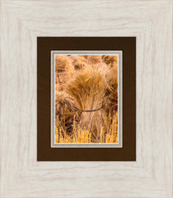 Load image into Gallery viewer, Plate 1 - Guatemala Highlands Shock of Wheat
