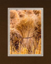 Load image into Gallery viewer, Plate 1 - Guatemala Highlands Shock of Wheat
