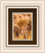 Load image into Gallery viewer, Plate 1 - Guatemala Highlands Shock of Wheat

