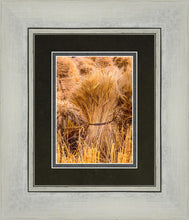 Load image into Gallery viewer, Plate 1 - Guatemala Highlands Shock of Wheat
