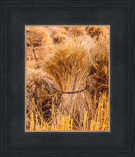 Load image into Gallery viewer, Plate 1 - Guatemala Highlands Shock of Wheat
